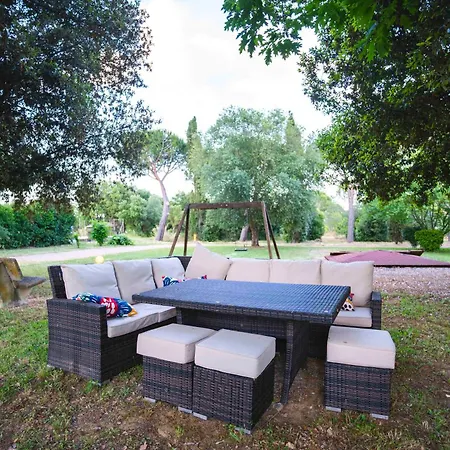 Corbuzzolo 2 Querciolaie Collection *
